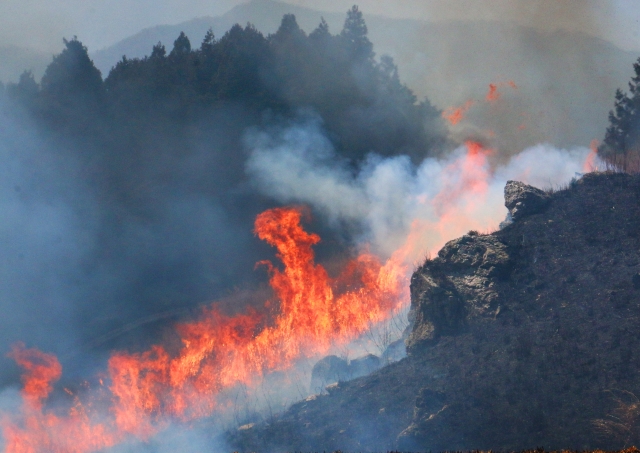 山火事（野火）の健康への影響と身を守るための対策