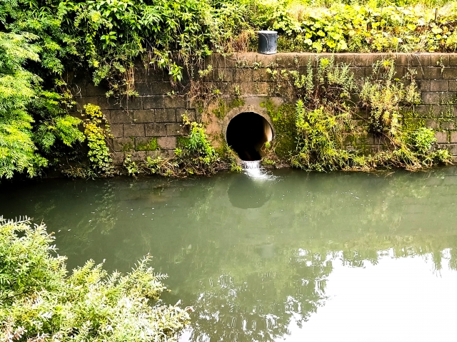 水質汚染（ウォーターポリューション）とは？