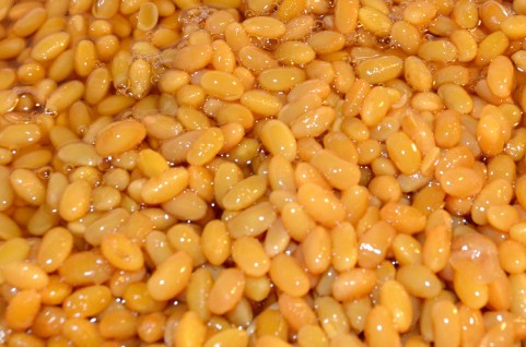 bean1