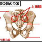 仙腸関節