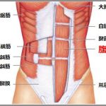 腹筋を割る最小限の筋トレメニュー