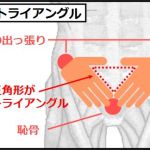 大腰筋の鍛えるための骨盤トライアングル