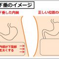 腹筋ダイエットはまず内臓下垂を治さないと無理